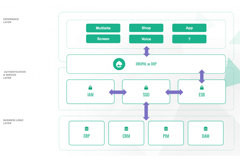 digital experience platform